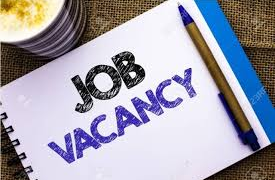 Job Vacancy